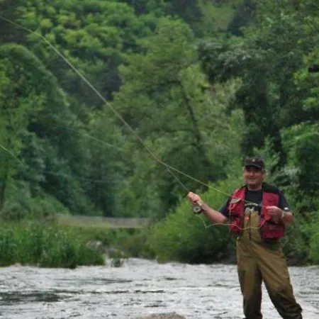 Mobile-home 30m² Avec Terrasse A - Api-1-52-172